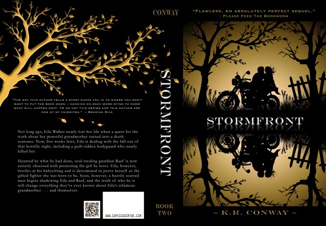 stormfront orange 3 with LARGER mirror image full