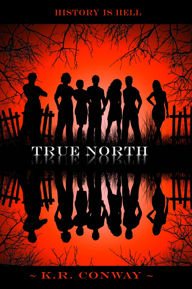 TRUE NORTH MIRRORED