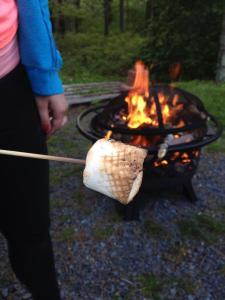 10302053_10203558058490023_6115334645210663484_n