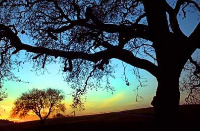 b8f878b0-7b4a-523f-83b3-de420a99b0c4.image