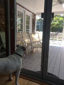 14264804_10209847546723298_7671049601953597755_n